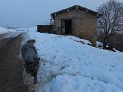 59 Un bravo cane pastore ci segue